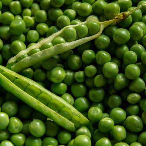 Green Peas